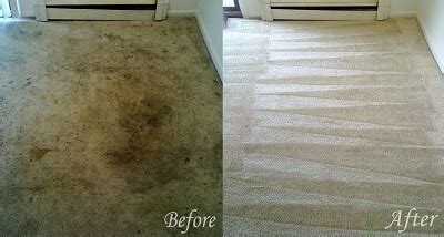 Cheap Carpet Cleaning Brisbane