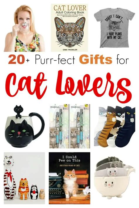 Cheap Cat Lover Gifts