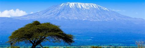 Cheap Flights from Dar Es Salaam (DAR) to Kilimanjaro (JRO) - Skyscanner