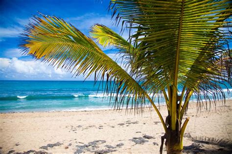 Cheap Flights from Newark to San Juan, Puerto Rico