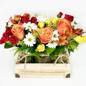 Cheap Flower Delivery in Deerfield Beach, FL - Yellow Pages