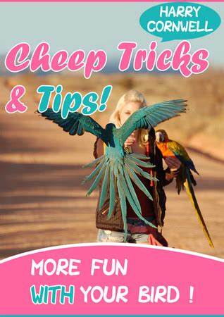 Cheap Tricks And Tips