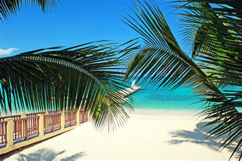 Cheap airfare to jamaica. Things To Know About Cheap airfare to jamaica. 