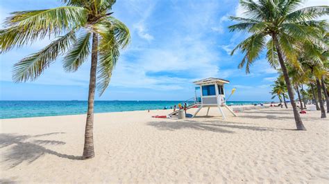 Cheap flights from Connecticut to Florida from $19