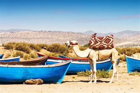 Cheap flights to morocco. Things To Know About Cheap flights to morocco. 