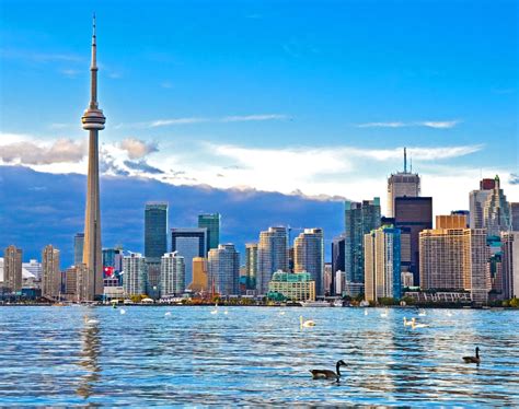 Cheap flights to toronto canada. Last Updated February 23, 2024 9:13 am. Some air travellers may be scrambling to make alternate plans after Canadian discount airline Lynx Air announced … 