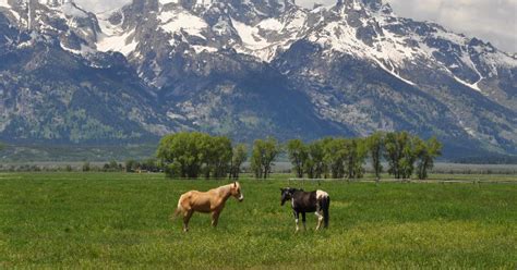 Cheap flights to wyoming. Things To Know About Cheap flights to wyoming. 
