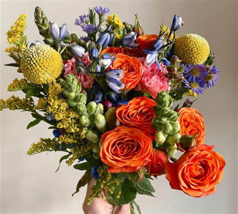 Cheap flowers delivery. Floom removes the hassle of sending a beautiful, seasonal flower arrangement or plant from an independent florist for flower delivery in Brooklyn, New York City. Just enter your delivery zipcode at the top to send the perfect flowers to someone in Brooklyn. Same day flower delivery is available before 12pm EST and next day delivery before 11 ... 