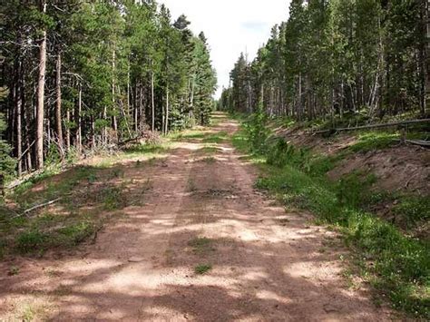Cheap land for sale colorado. Westward Land Holdings. $16,900 • 5.13 acres. Kelly Rd, Fort Garland, CO, 81133, Costilla County. This fantastic 5.128-acre property in Costilla County, Colorado, has beautiful tree coverage, some bushes, and mostly flat terrain (it slopes down slightly from the road). 