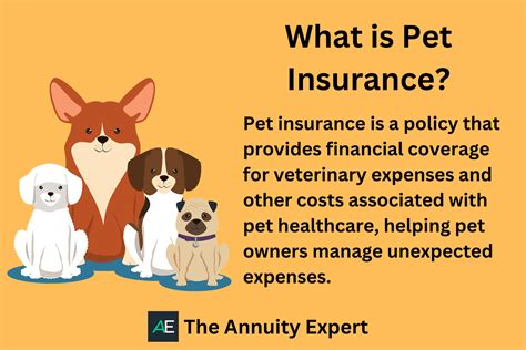Why Would I Need Pet Insurance? · Ensures Best Health: Your precious pets will get the best treatment and medical care thanks to the insurance policy · Affordable ...