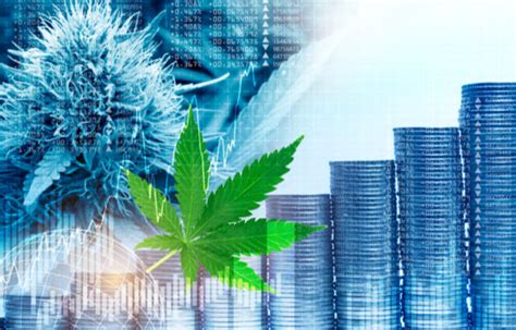 Cheap pot stocks to buy now. Things To Know About Cheap pot stocks to buy now. 