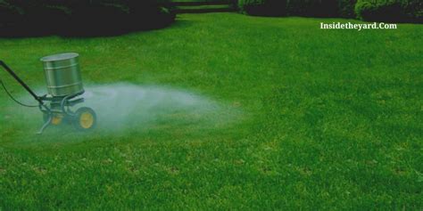 Cheapest Way to Fertilize Large Lawn: 5 Ideas - GFL Outdoors