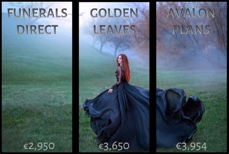 Cheapest funeral plan in spain.  Golden Leaves International assists grieving f...