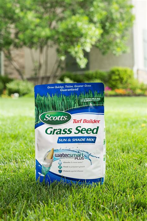 Cheapest grass seed. It's superior seed technology, backed by the Pennington Guarantee. Germinates faster than ordinary cool-season grasses. Creates a lush, fine-bladed, dark green northern lawn. Provides excellent winter color for southern lawns. Grows denser, darker and lower than annual ryegrass. Requires less mowing and watering than annual ryegrass. 