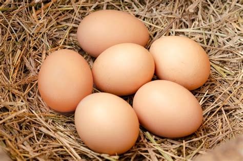 Cheapest place to buy eggs near me. Things To Know About Cheapest place to buy eggs near me. 