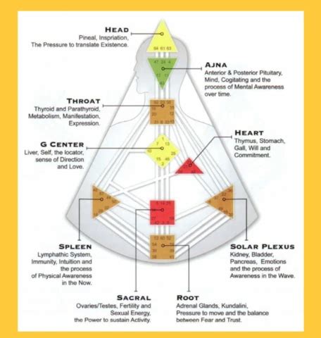 Cheat Sheet How To Read Your Human Design Chart Human Design System