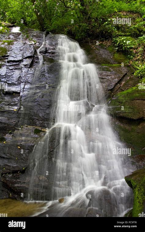 Check Out Great Falls, South Carolina - Citywide