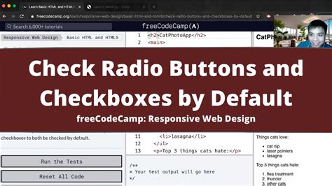 Check Radio Buttons and Checkboxes by Default - FreeCodecamp