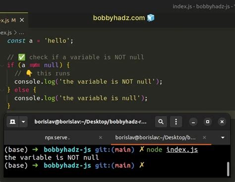 Check if a Variable is Not NULL in JavaScript bobbyhadz