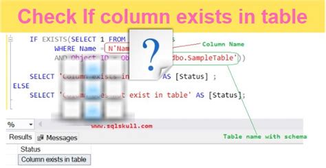 Check if column Exists or not in SQL Server Table - SqlSkull