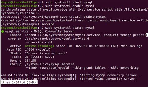 Checking If MySQL Is Running On Your Linux System