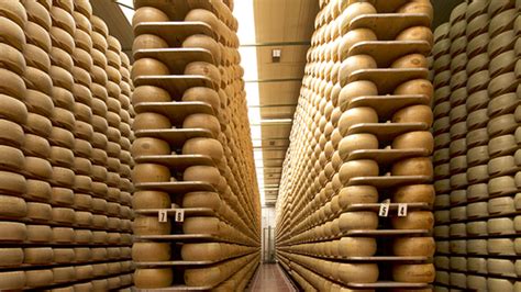 Cheese bank. Things To Know About Cheese bank. 