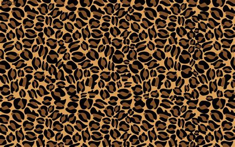 Cheetah Print Onlyfans Leak