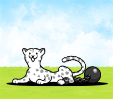 Cheetah Cat (Uber Rare Cat) The unoffici