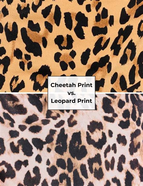 🍌 (SEX) Cheetahprintking Onlyfans Leaked