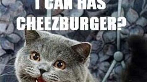 Cheezburger meme. Things To Know About Cheezburger meme. 