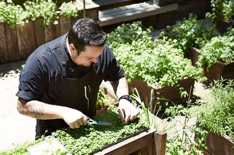 Chefs garden. Things To Know About Chefs garden. 