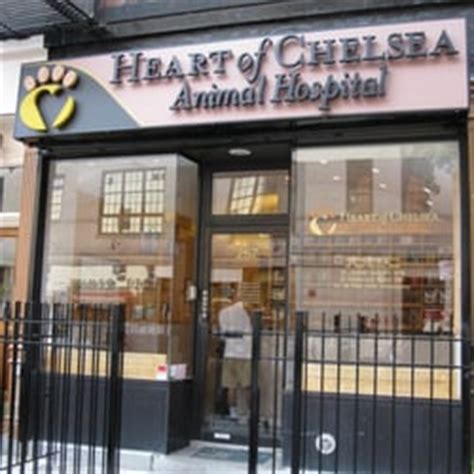 Chelsea animal hospital. Things To Know About Chelsea animal hospital. 