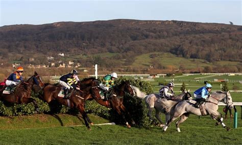 Cheltenham’s Tote Placepot bet hits record payout of £91,000