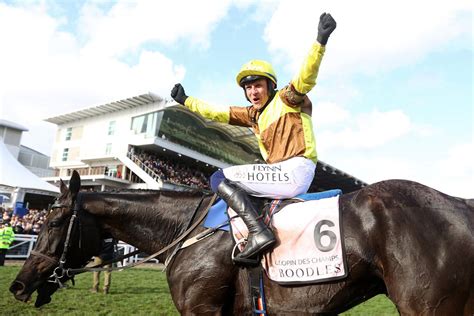 Cheltenham Day 4 Tips Cheat Sheet: All the best bets in one place