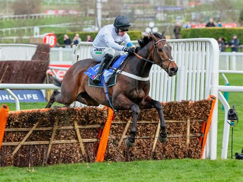 Cheltenham Festival Day 1 tips - SundayWorld.com