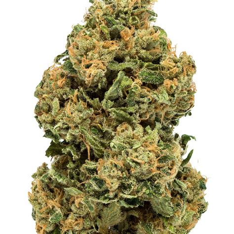 Chemdawg, officially named "Chemdog," is a hybrid