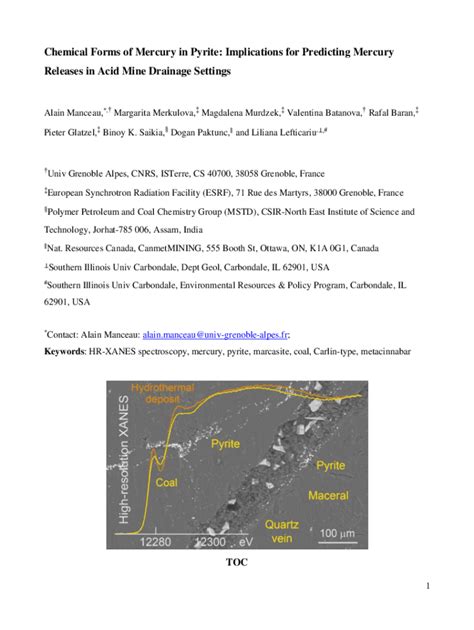 Chemical Forms of Mercury in Pyrite: Implications for Predicting ...