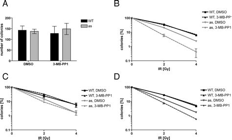 Chemical Genetics Reveals a Specific Requirement for Cdk2 …