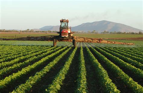 Chemical and mined fertiliser - DAFF - Agriculture