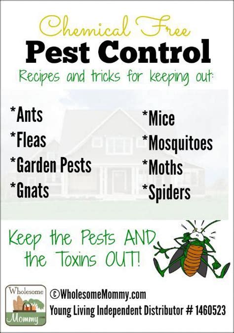Read Chemical Free Pest Control Hundreds Of Practical And Inexpensive Ways To Control Pests Without Chemicals By Robin Stewart