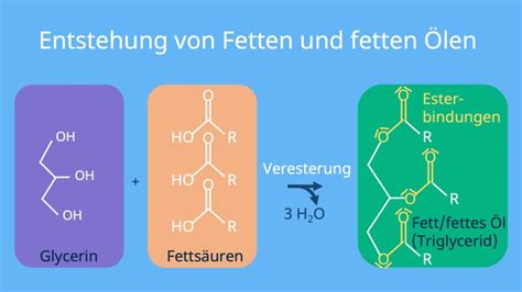 Chemie der fette, lipoide und wachsarten. - Lets talk stds a guide to prepare parents for the talk.