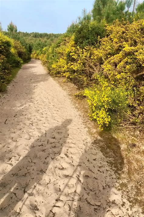 Chemins de sable