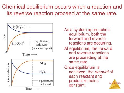 Chemistry reaction rates and equilibrium study guide. - Ford fiesta cd radio audio manual.