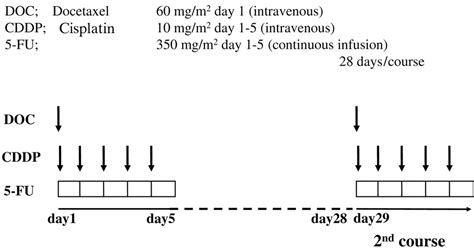 Chemotherapy with CDDP - PubMed