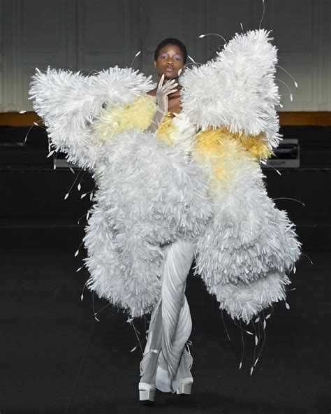 Cheney chan dream in bloom