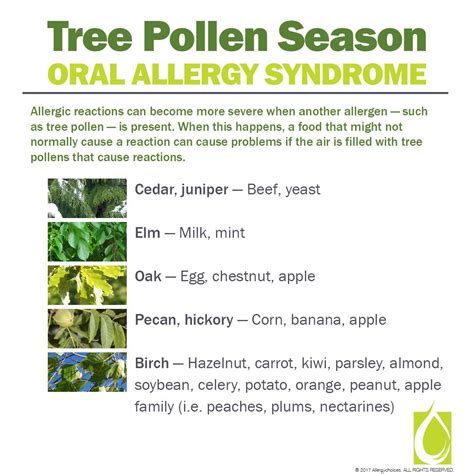 Chenopods allergy symptoms. symptoms. Frequent sneezing. Watery or itchy eyes. Runny nose. Congestion in your nose, ears or chest. Postnasal drip. Itchy throat. Puffy eyelids. Most seasonal allergies are caused by pollen ... 