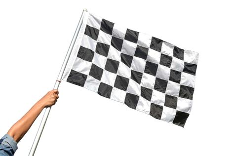 Chequered Definition & Meaning Dictionary.com