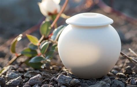 Cherished memories saskatoon.  In lieu passed away .  10 to Feb.  Discover how fune...