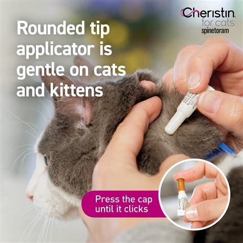 Cheristin Flea Treatment Topical for Cats Chewy - YouTube