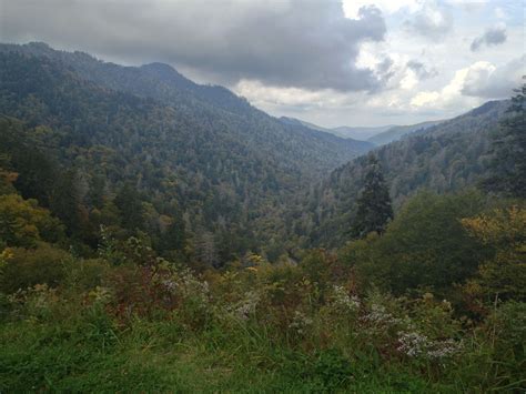 Cherokee Landscaping & Grading - Gaffney, SC - Yelp